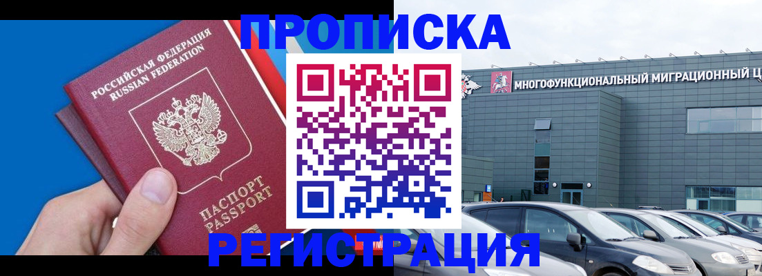 прописка для школы в Камешково
